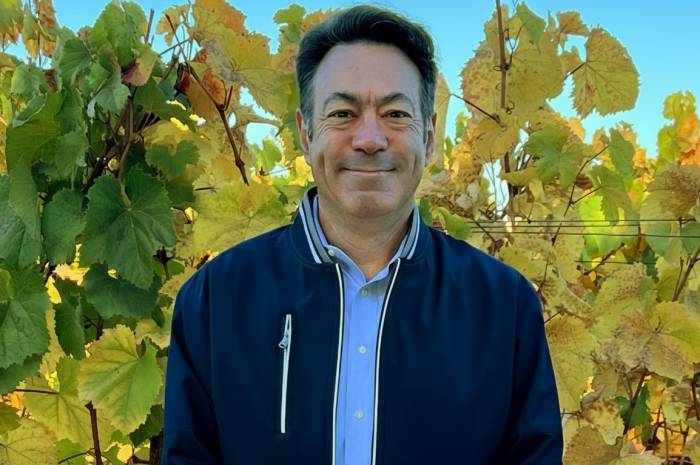 Cakebread Cellars names David Amadia as new CEO amid leadership changes in California wine industry