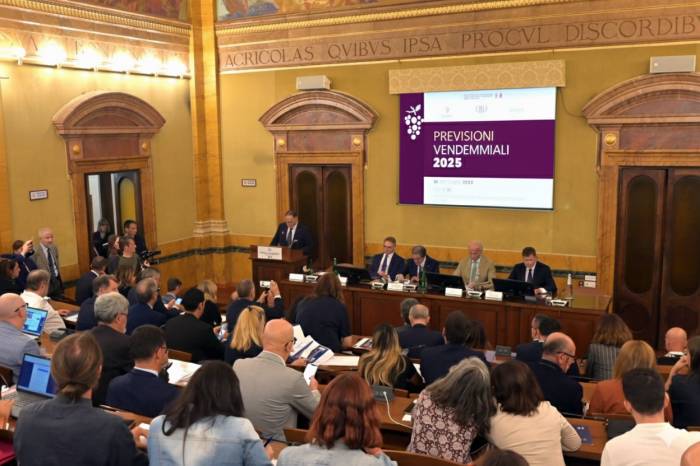 Italy Set to Regain Top Spot in Global Wine Production with Strong 2025 Harvest