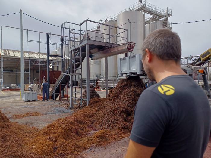 El proyecto NEWFEED convierte residuos agroalimentarios en piensos sostenibles para ganado en España, Grecia y Egipto