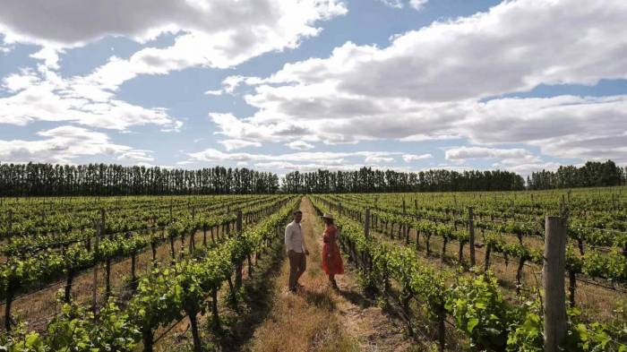 El Camino del Vino impulsa el enoturismo en Neuquén y conecta bodegas de la Patagonia argentina