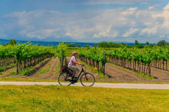 South Australia Wine Tourism Leaders Honored at 2026 Best Of Wine Tourism Awards
