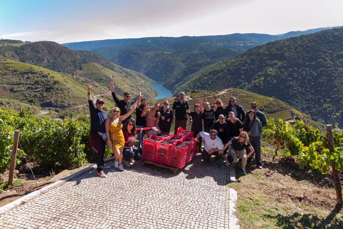Regina Viarum presenta su programa de vendimia con talleres y catas en la Ribeira Sacra