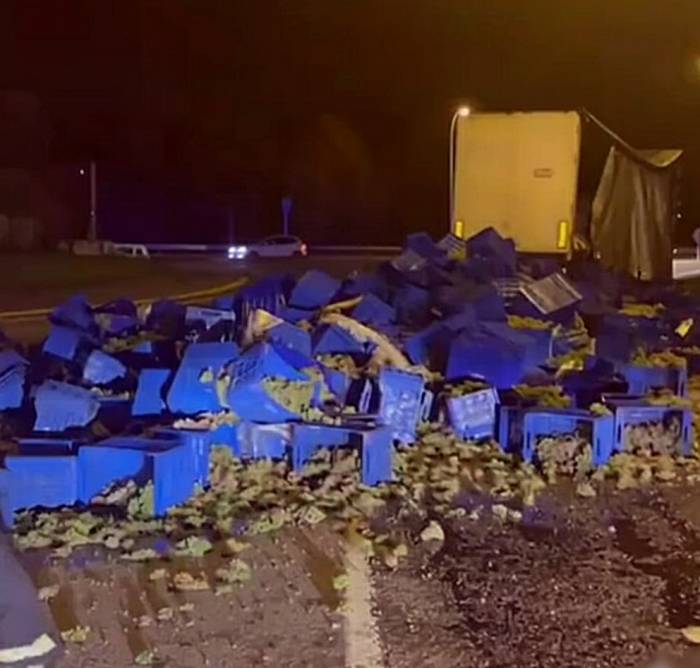 Un camión con 15 toneladas de uva albariño vuelca en una rotonda de Cambados