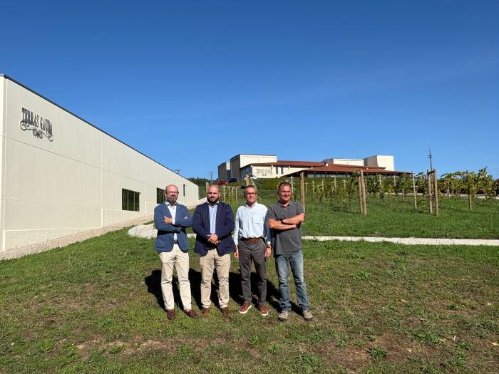 Terras Gauda impulsa la innovación sostenible en el viñedo con laboratorios vivientes y tecnología avanzada