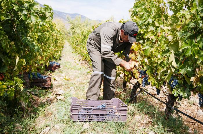 España rechaza la propuesta europea para la nueva PAC por riesgo a recortes y pérdida de fondos
