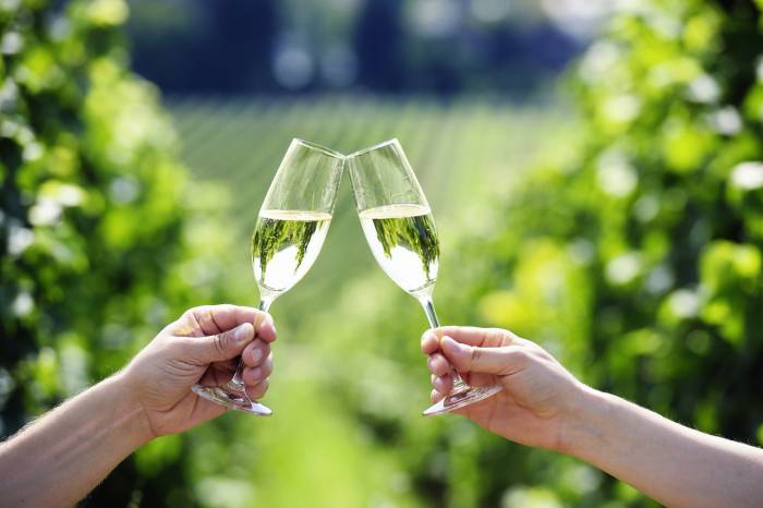 Champagne Producers Hail 2025 Harvest as Best in Decades Despite Low Yields
