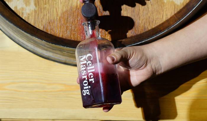 JAJAJA Studio firma la nueva etiqueta del Vi Novell del Celler Masroig