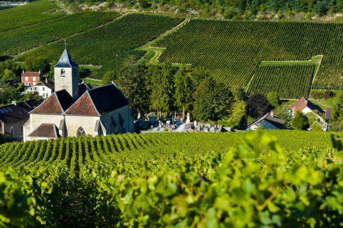 Bordeaux Winegrowers Confront Climate Change With Irrigation, New Grapes and Shifting Traditions