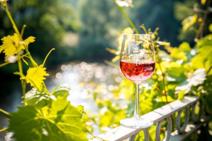 Thuringia Winemakers Anticipate Strong Harvest After Challenging Year