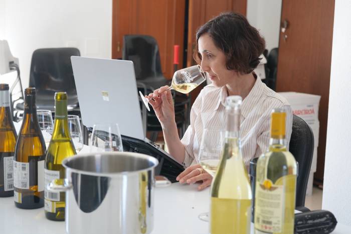 Amaya Cervera analiza el potencial de los vinos de Valdeorras en una cata con 72 referencias