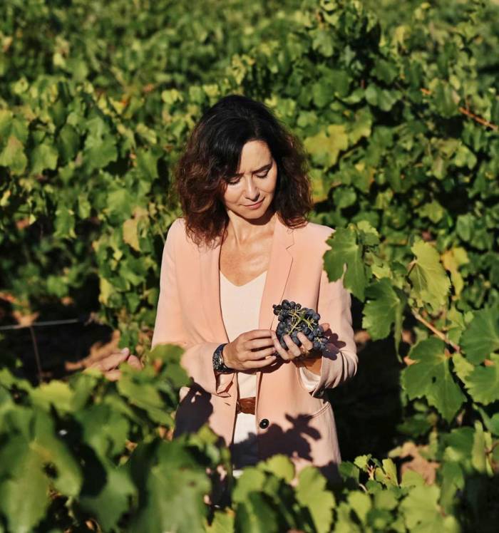 La Comunidad de Madrid impulsa sus vinos institucionales y recupera variedades autóctonas en El Encín