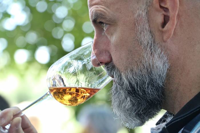 La Ruta del Vino Calatayud crece con cinco nuevos socios y la integración de Daroca