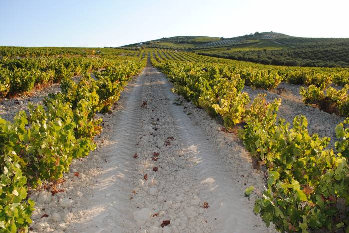 Andalucía Generosa celebra su primera edición en Cambre con más de 80 vinos de 30 bodegas