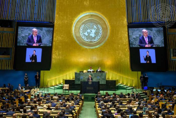 Wine Industry Leaders Urge Balanced Approach to Alcohol Policy Ahead of UN Meeting