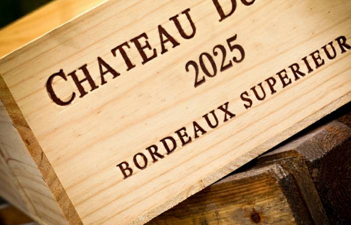Bordeaux Winegrowers Face Financial Crisis as Surplus Floods Market