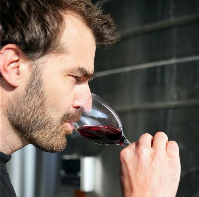 Globalization Reshapes Wine Industry Without Erasing Terroir or Tradition