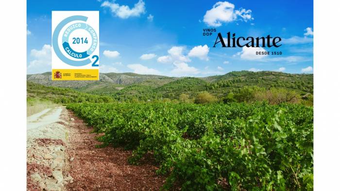 El sector vitivinícola de Alicante refuerza su compromiso ambiental con nuevas certificaciones y reducción de emisiones