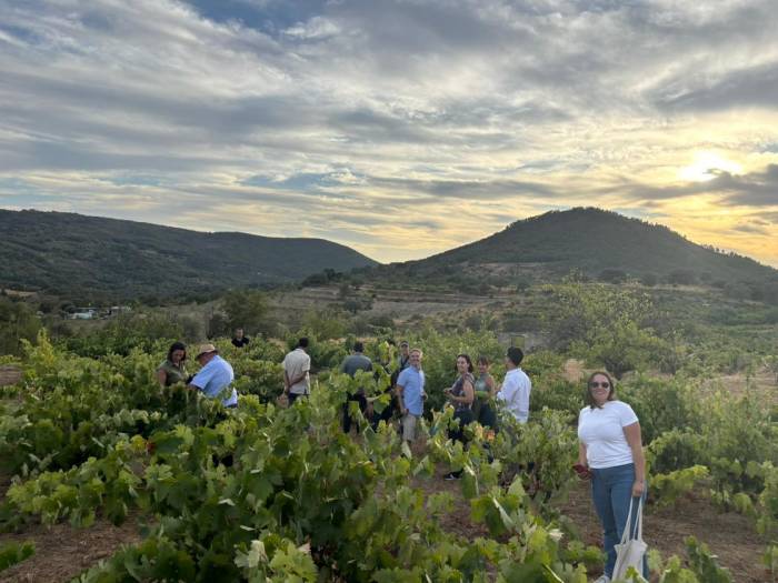 La Ruta del Vino de Gran Canaria explora el modelo enoturístico de Sierra de Francia en Salamanca