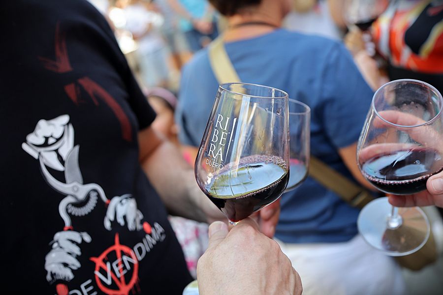 Vinos Ribera del Duero