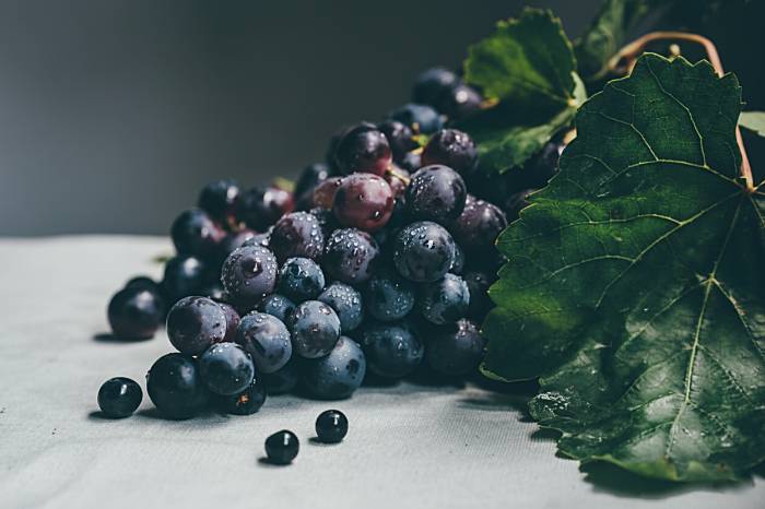 Eco-Friendly Wines and Innovative Packaging Drive Growth Amid U.S. Market Decline