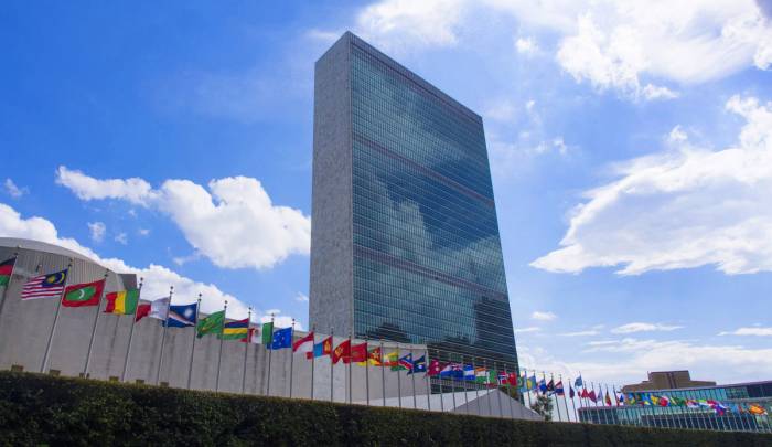 UN Considers Stricter Global Alcohol Regulations Amid Debate Over Health Risks