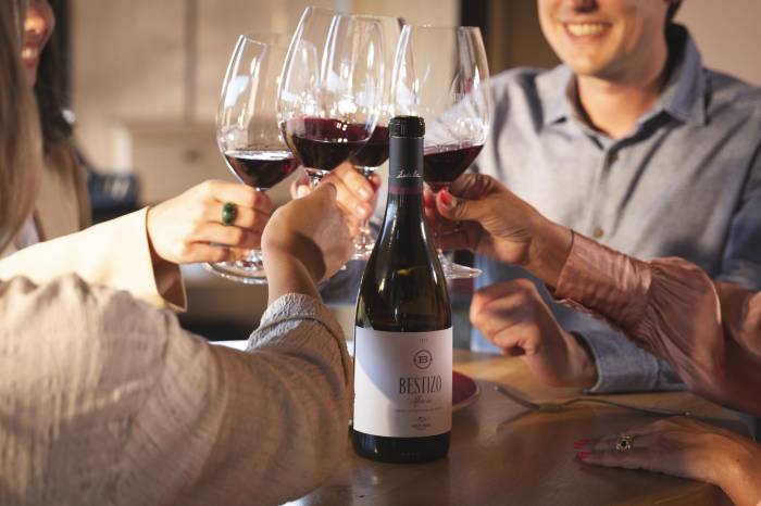 La generación X, clave en la estrategia de Bodegas Emilio Moro para atraer a jóvenes al vino