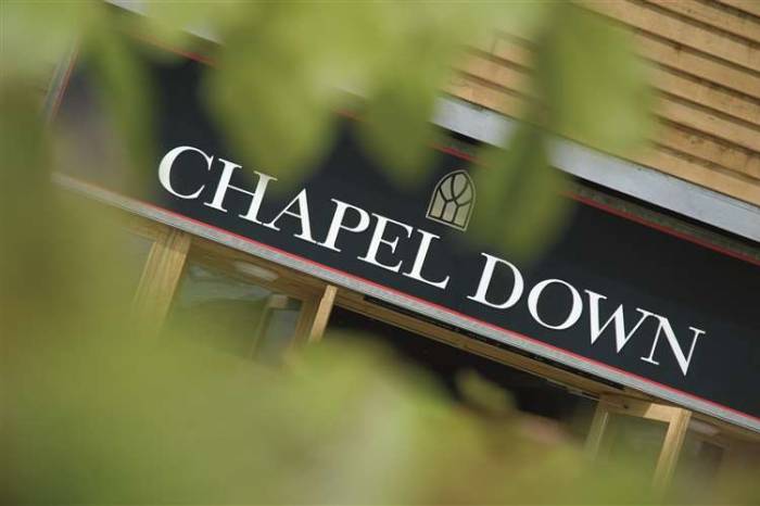 Chapel Down Halts New Winery Project Amid Slower English Wine Growth and Market Shifts