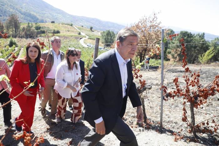 El Gobierno lanza ayudas para agricultores y ganaderos afectados por los incendios forestales de este verano