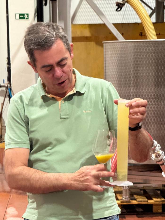Oro de Castilla concluye la vendimia en Rueda con menor producción pero mantiene la calidad