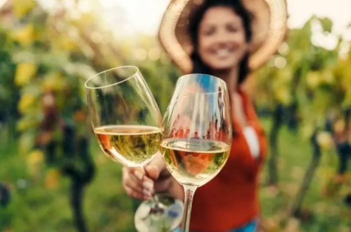 Wine tourism drives transformation in Czechia’s wine industry amid climate and economic challenges