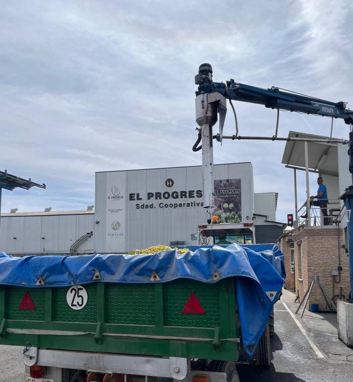 La vendimia de El Progreso cae un 35 por ciento pero mejora el precio del vino tinto