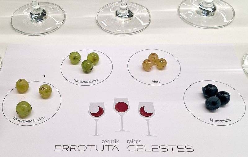 variedades de uva más representativas de Rioja Alavesa
