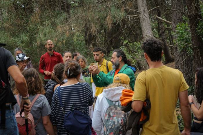 Claromecó impulsa el micoturismo con rutas y encuentros sobre hongos silvestres