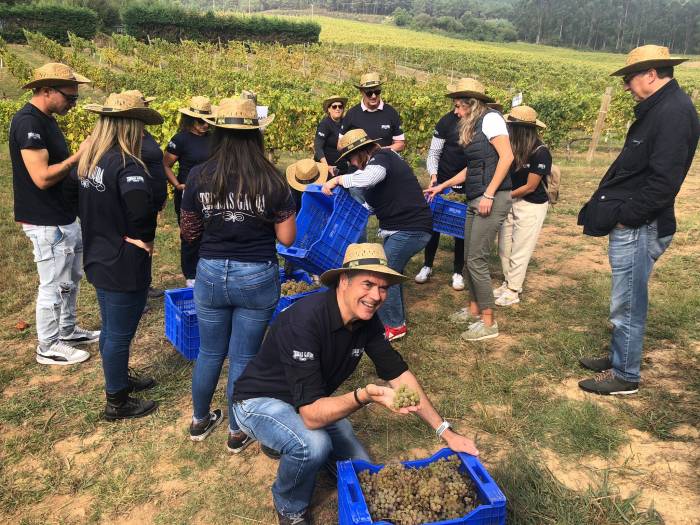 La Ruta del Vino Rías Baixas lanza la segunda edición de los buses de vendimia en septiembre