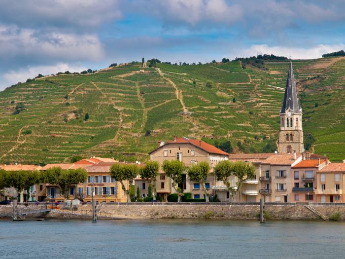 Côtes-du-Rhône raises yield limit for 2025 as region signals cautious recovery