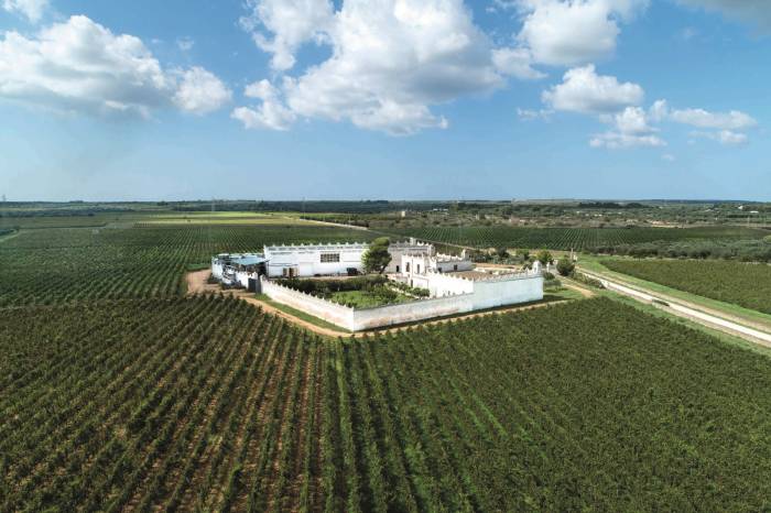 Tommasi Family Estates Expands in Puglia with Acquisition of Tenuta Eméra and Cantina Moros