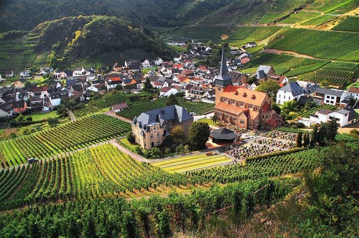 German winemakers confront historic crisis as production costs soar and demand falls