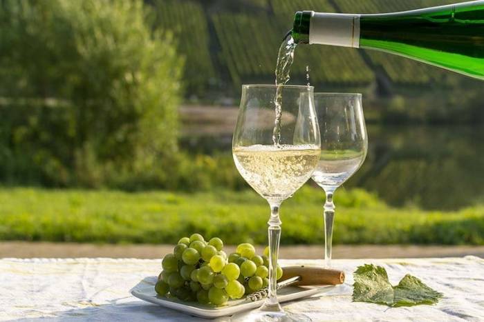 German Government Allocates One Million Euros to Support Struggling Wine Industry