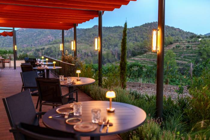 El Gran Hotel Mas d’en Bruno propone una experiencia de vendimia en el Priorat