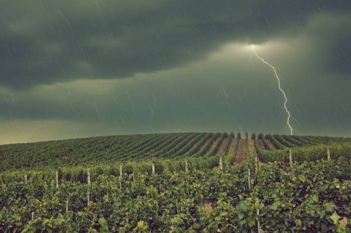 Dry Lightning Storms Ignite Dozens of Wildfires Across California, Raising Alarm Over Future Fire Risks
