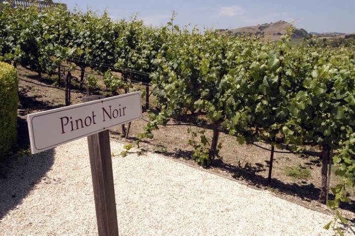 Napa Valley Pinot Noir Faces Uncertain Future as Climate Change Alters Wine Country