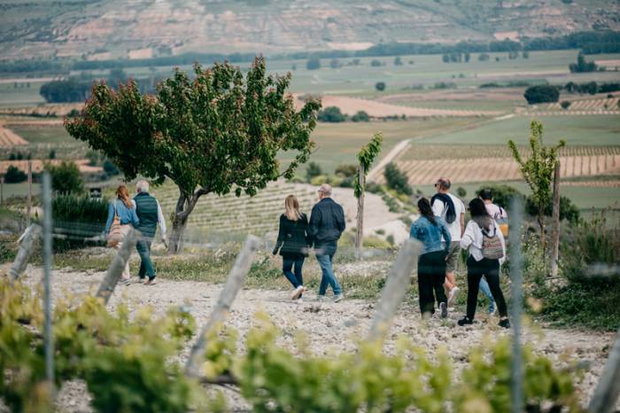 Monteabellón celebra su 25 aniversario con nuevas experiencias de enoturismo en la Ribera del Duero