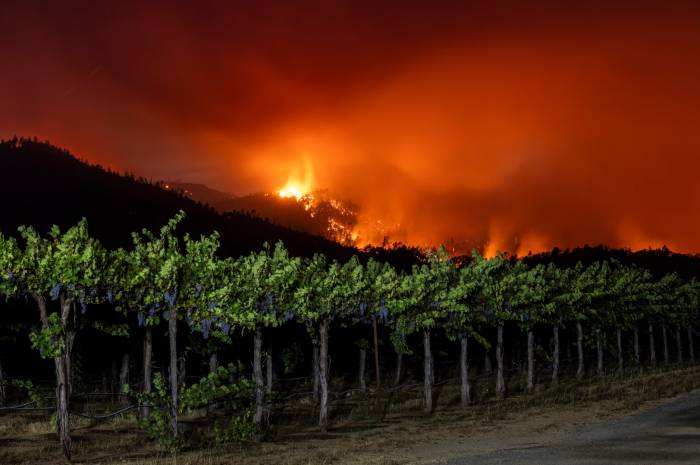 California Wine Industry Faces Declining Sales, Wildfires and Labor Shortages Amid Uncertain Future