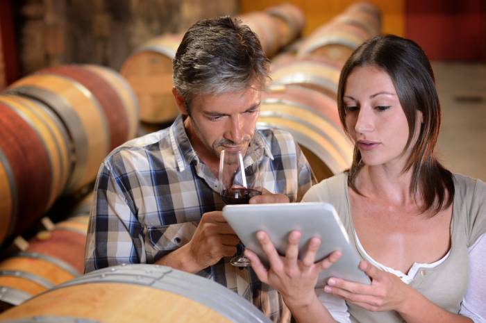 South Australian Wine Industry Launches Support Program for Small and Family-Owned Businesses