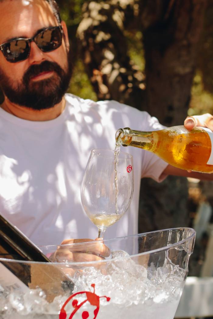 Provino BC agota las entradas del Festival de las Conchas y el Vino Nuevo