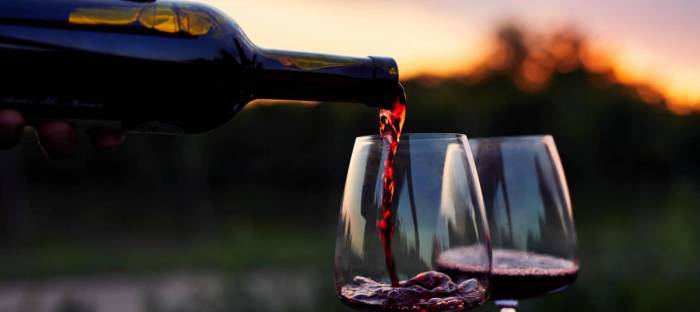 Syrah du Monde Draws 450 Wine Samples to France