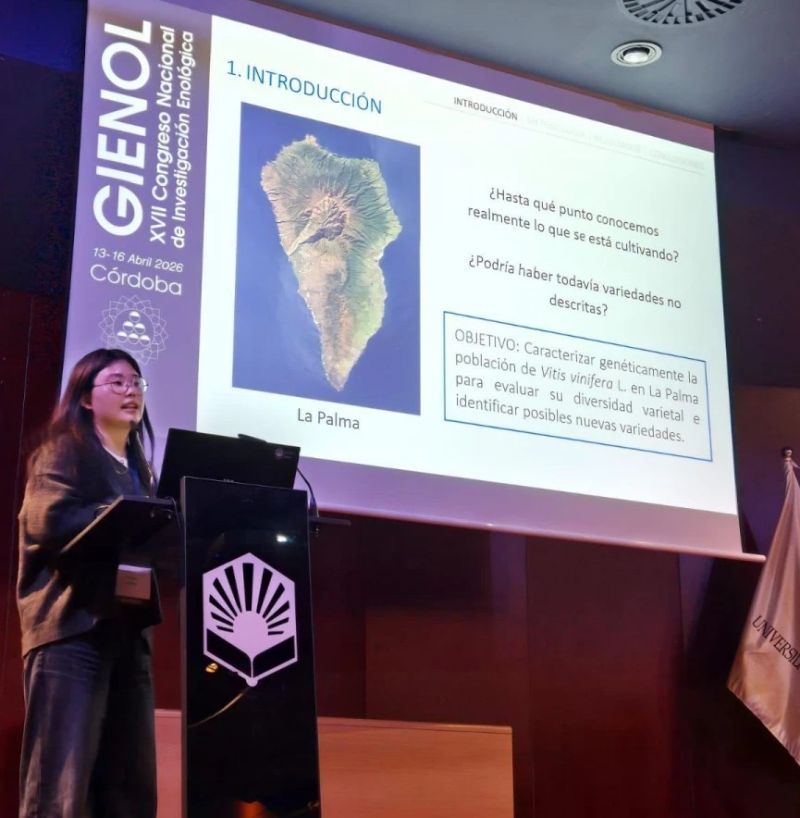 Scientists identify previously unknown grapevine varieties on La Palma