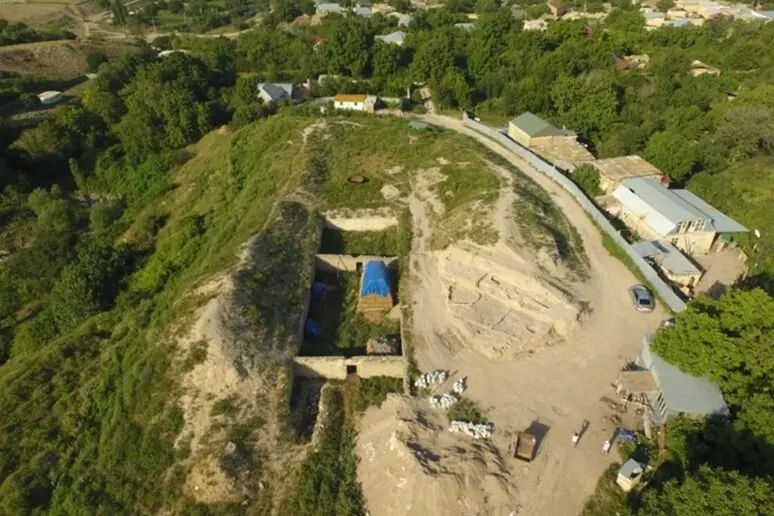 Bronze Age Caucasus Pots Reveal Early Dairy and Wine Use