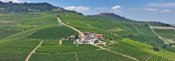 Michele Chiarlo Winery Unveils 30th Vintage of Barolo DOCG Cerequio from 2022 Harvest