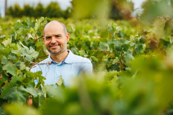 Bodegas Faustino se mantiene entre las 50 marcas de vino más admiradas del mundo